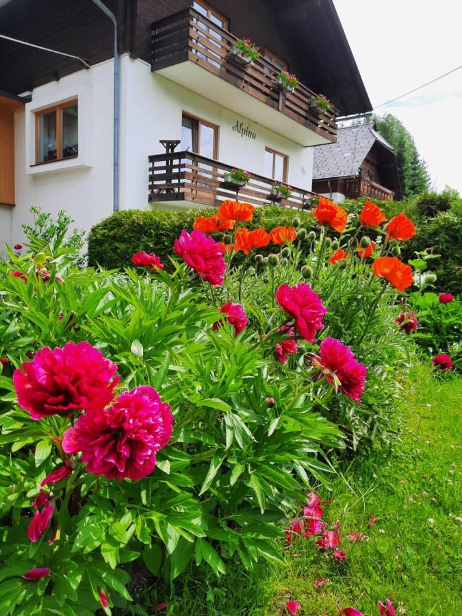 Haus Alpina Apartment Weissensee Luaran gambar