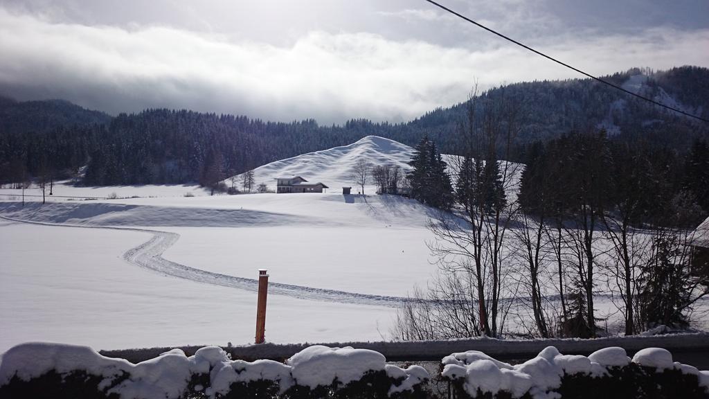 Haus Alpina Apartment Weissensee Luaran gambar