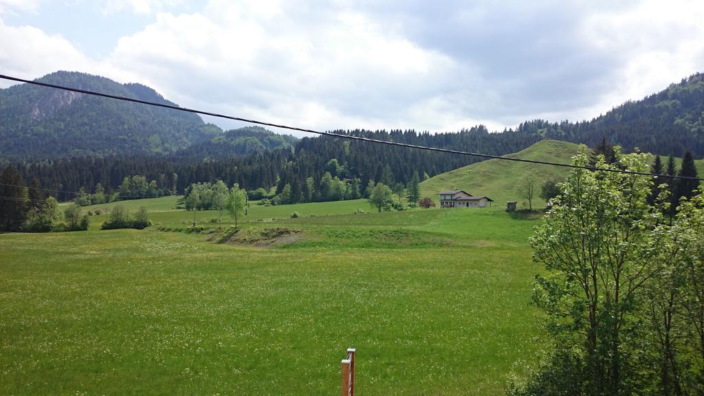 Haus Alpina Apartment Weissensee Luaran gambar