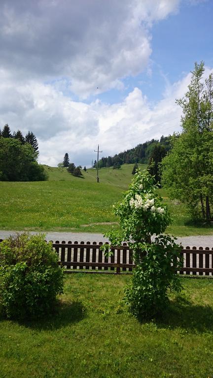 Haus Alpina Apartment Weissensee Luaran gambar